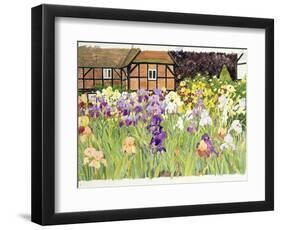 Irises-Linda Benton-Framed Premium Giclee Print