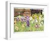 Irises-Linda Benton-Framed Premium Giclee Print