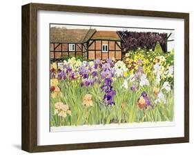 Irises-Linda Benton-Framed Giclee Print