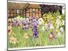 Irises-Linda Benton-Mounted Giclee Print