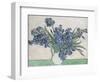 Irises-Vincent van Gogh-Framed Art Print