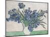 Irises-Vincent van Gogh-Mounted Art Print