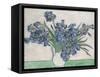 Irises-Vincent van Gogh-Framed Stretched Canvas