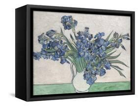 Irises-Vincent van Gogh-Framed Stretched Canvas