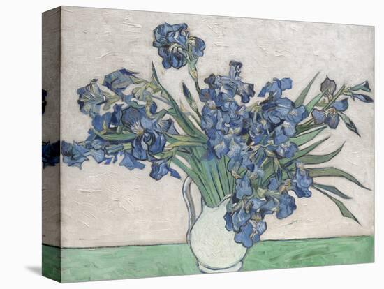 Irises-Vincent van Gogh-Stretched Canvas