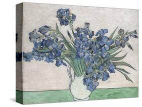 Irises-Vincent van Gogh-Stretched Canvas