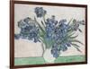 Irises-Vincent van Gogh-Framed Art Print