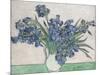 Irises-Vincent van Gogh-Mounted Art Print