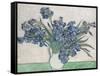 Irises-Vincent van Gogh-Framed Stretched Canvas