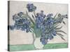 Irises-Vincent van Gogh-Stretched Canvas