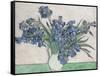 Irises-Vincent van Gogh-Framed Stretched Canvas