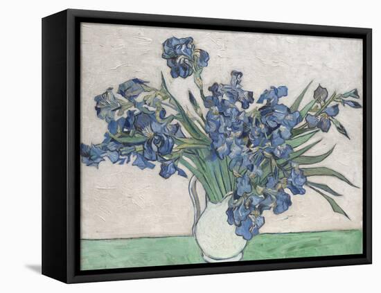 Irises-Vincent van Gogh-Framed Stretched Canvas