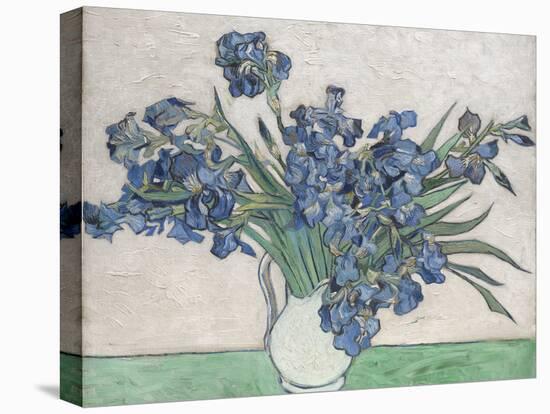 Irises-Vincent van Gogh-Stretched Canvas