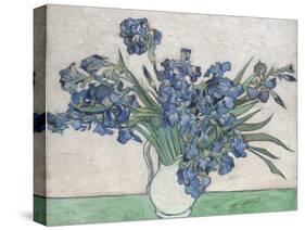 Irises-Vincent van Gogh-Stretched Canvas