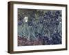 Irises-Vincent van Gogh-Framed Giclee Print