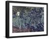 Irises-Vincent van Gogh-Framed Giclee Print