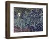 Irises-Vincent van Gogh-Framed Giclee Print