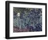 Irises-Vincent van Gogh-Framed Giclee Print