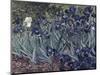 Irises-Vincent van Gogh-Mounted Giclee Print