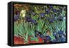 Irises-Vincent van Gogh-Framed Stretched Canvas