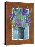 Irises-Fiona Stokes-Gilbert-Stretched Canvas