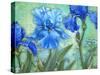 Irises-Maria Rytova-Stretched Canvas