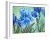 Irises-Maria Rytova-Framed Giclee Print
