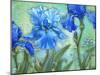 Irises-Maria Rytova-Mounted Giclee Print