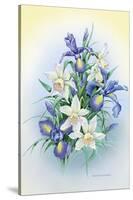 Irises-Olga And Alexey Drozdov-Stretched Canvas