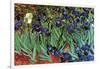 Irises-Vincent van Gogh-Framed Art Print