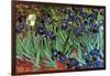 Irises-Vincent van Gogh-Framed Art Print