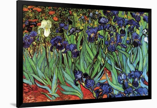 Irises-Vincent van Gogh-Framed Art Print