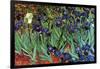 Irises-Vincent van Gogh-Framed Art Print