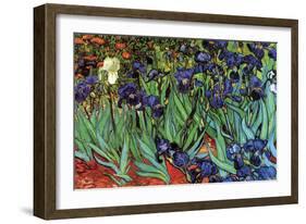 Irises-Vincent van Gogh-Framed Art Print