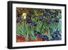 Irises-Vincent van Gogh-Framed Premium Giclee Print