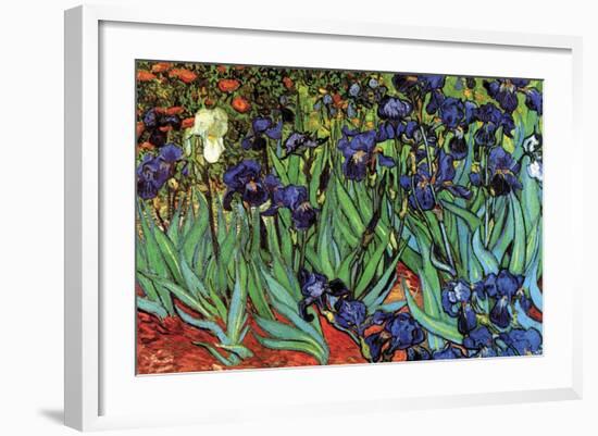 Irises-Vincent van Gogh-Framed Art Print