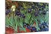 Irises-Vincent van Gogh-Mounted Art Print