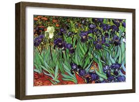 Irises-Vincent van Gogh-Framed Premium Giclee Print