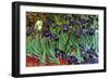 Irises-Vincent van Gogh-Framed Premium Giclee Print