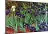 Irises-Vincent van Gogh-Mounted Premium Giclee Print