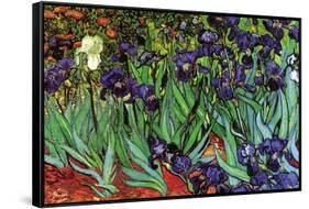 Irises-Vincent van Gogh-Framed Stretched Canvas