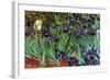 Irises-Vincent van Gogh-Framed Art Print