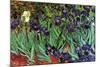 Irises-Vincent van Gogh-Mounted Art Print