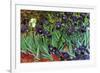 Irises-Vincent van Gogh-Framed Art Print