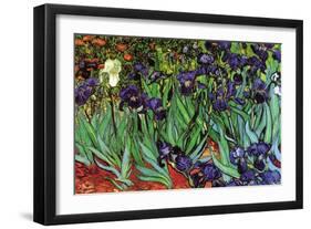 Irises-Vincent van Gogh-Framed Art Print