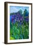 Irises-Andrii Kutsachenko-Framed Premium Photographic Print