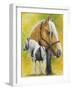 Irish Cob-Barbara Keith-Framed Giclee Print