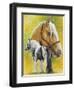 Irish Cob-Barbara Keith-Framed Premium Giclee Print