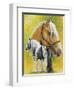 Irish Cob-Barbara Keith-Framed Premium Giclee Print