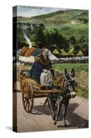 Irish Donkey Car-null-Stretched Canvas